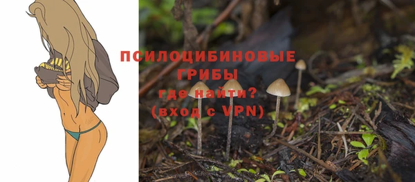 синтетический гашиш Бронницы