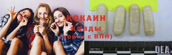 прущие грибы Бородино