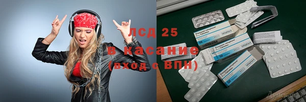 дживик Богородицк