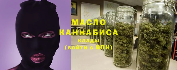 прущие грибы Бородино
