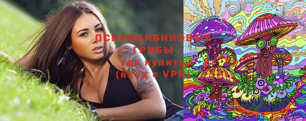 дживик Богородицк