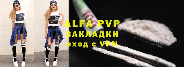 прущие грибы Бородино