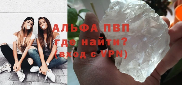 прущие грибы Бородино