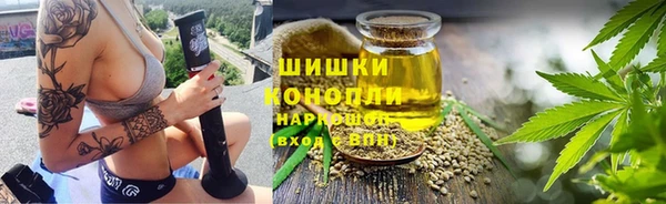 дживик Богородицк
