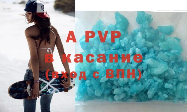 прущие грибы Бородино