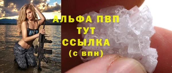 дживик Богородицк