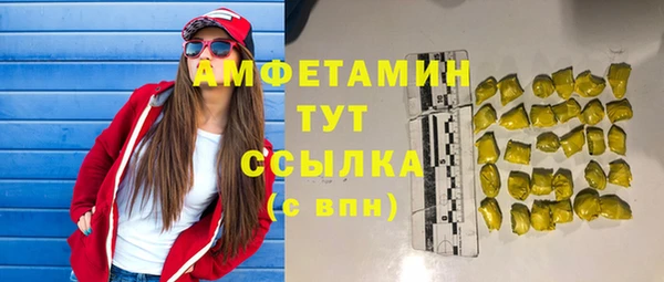 прущие грибы Бородино
