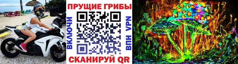 Галлюциногенные грибы GOLDEN TEACHER  продажа наркотиков  Волчанск 